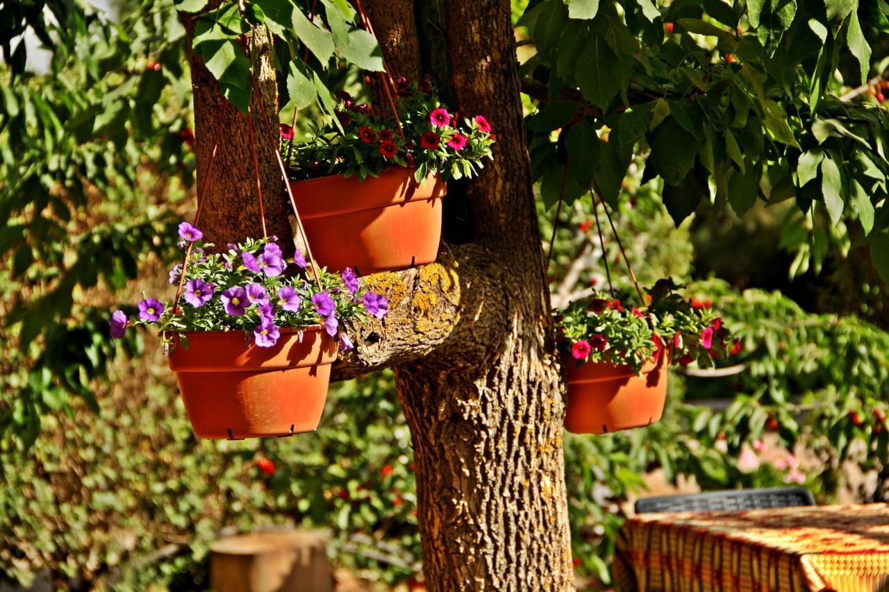 Villa Suzanna in Odem Esterno foto